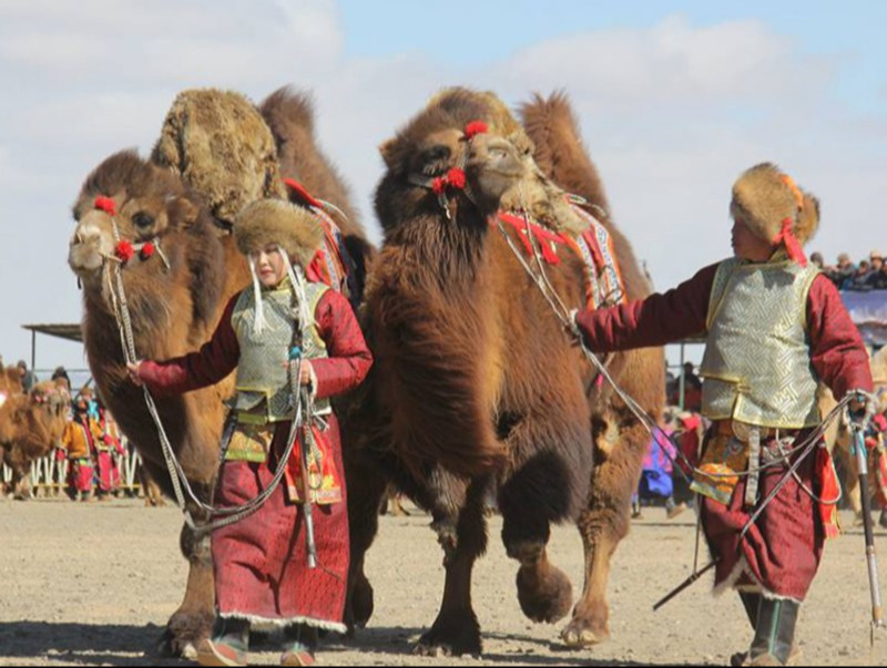 Лондон хотод “Монгол тэмээний өдөрлөг” болно